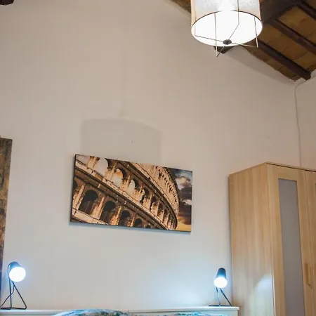 Baccina 88