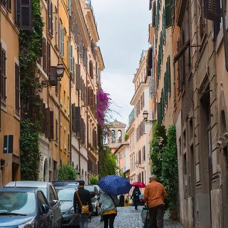 Baccina 88 Rome