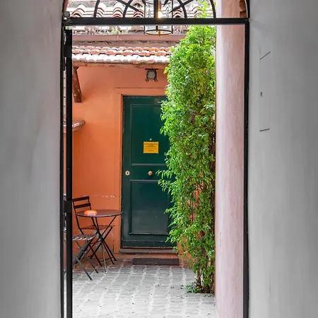 Baccina 88 *